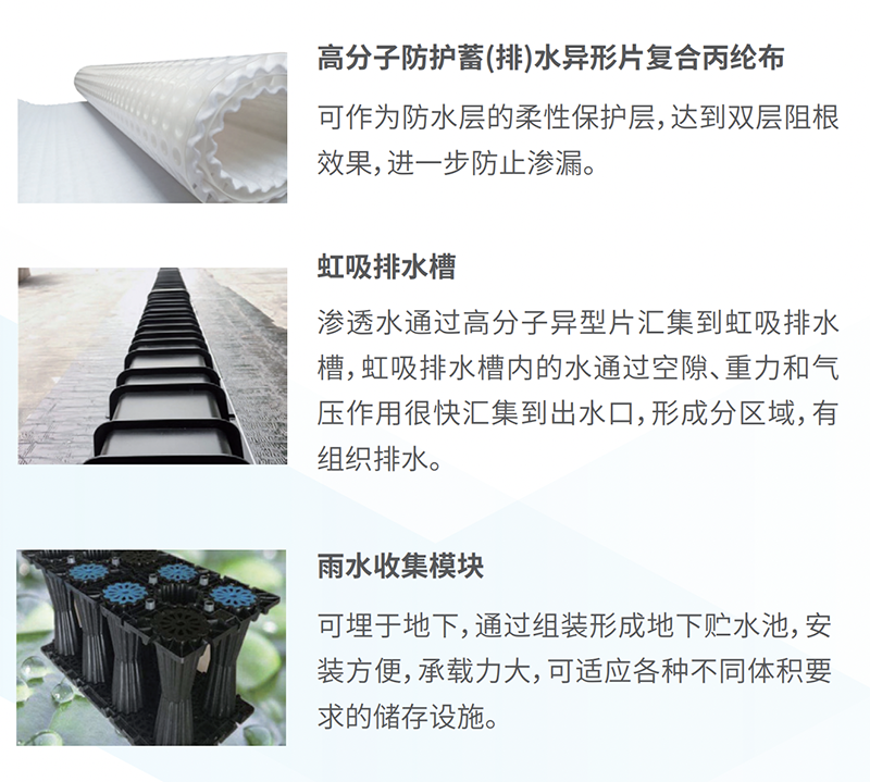 海綿2.png